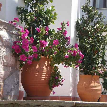 Hotel Pelion Resort Портариа Екстериор снимка